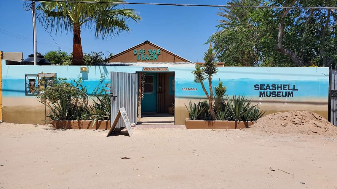 SeaShell Museum End of the Year Special Schedule