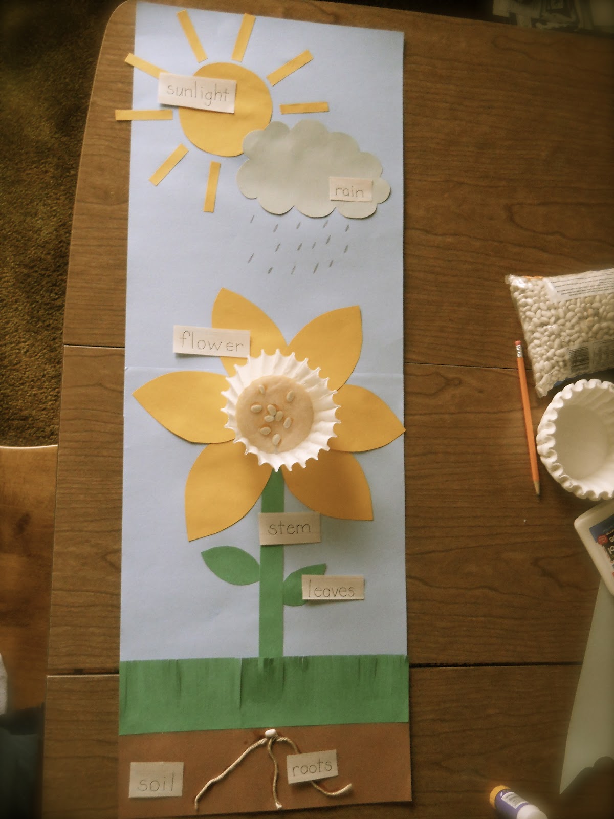 Growing A Kindergarten: Plant Parts
