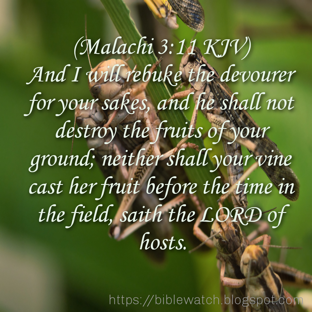 Who Is The Devourer In Malachi 3:11?