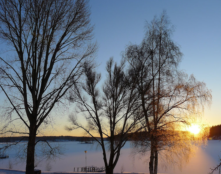 Lindesjön en vinterdag, januari 2012