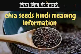 chia seeds in hindi, chia seeds hindi information, chia seeds benefits in hindi, chia seeds hindi meaning, chia seeds in hindi name, chia seeds in hindi sabja