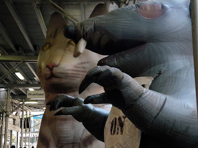 Caturday Empire State Building