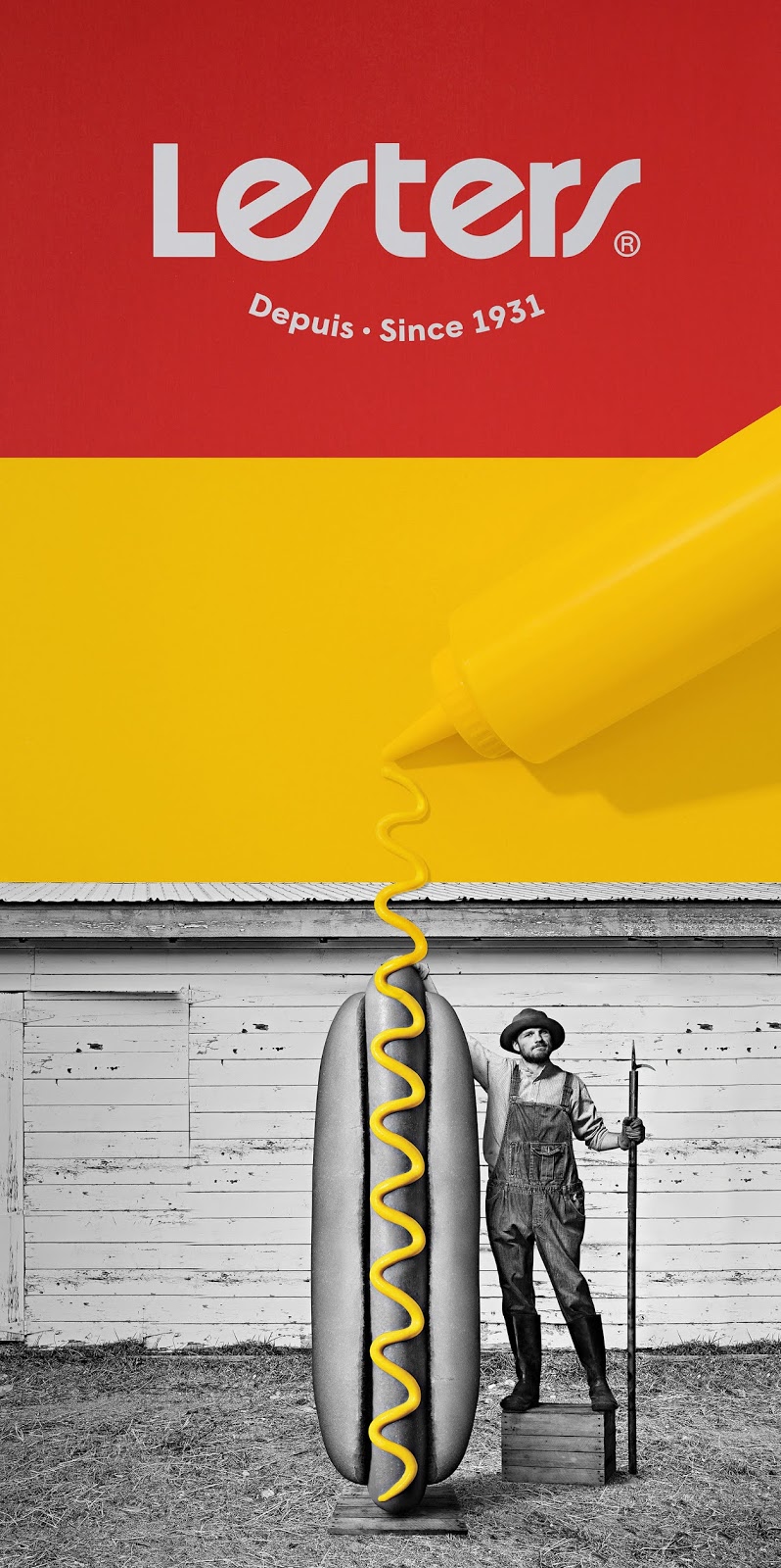 Lesters Packaging Of The World