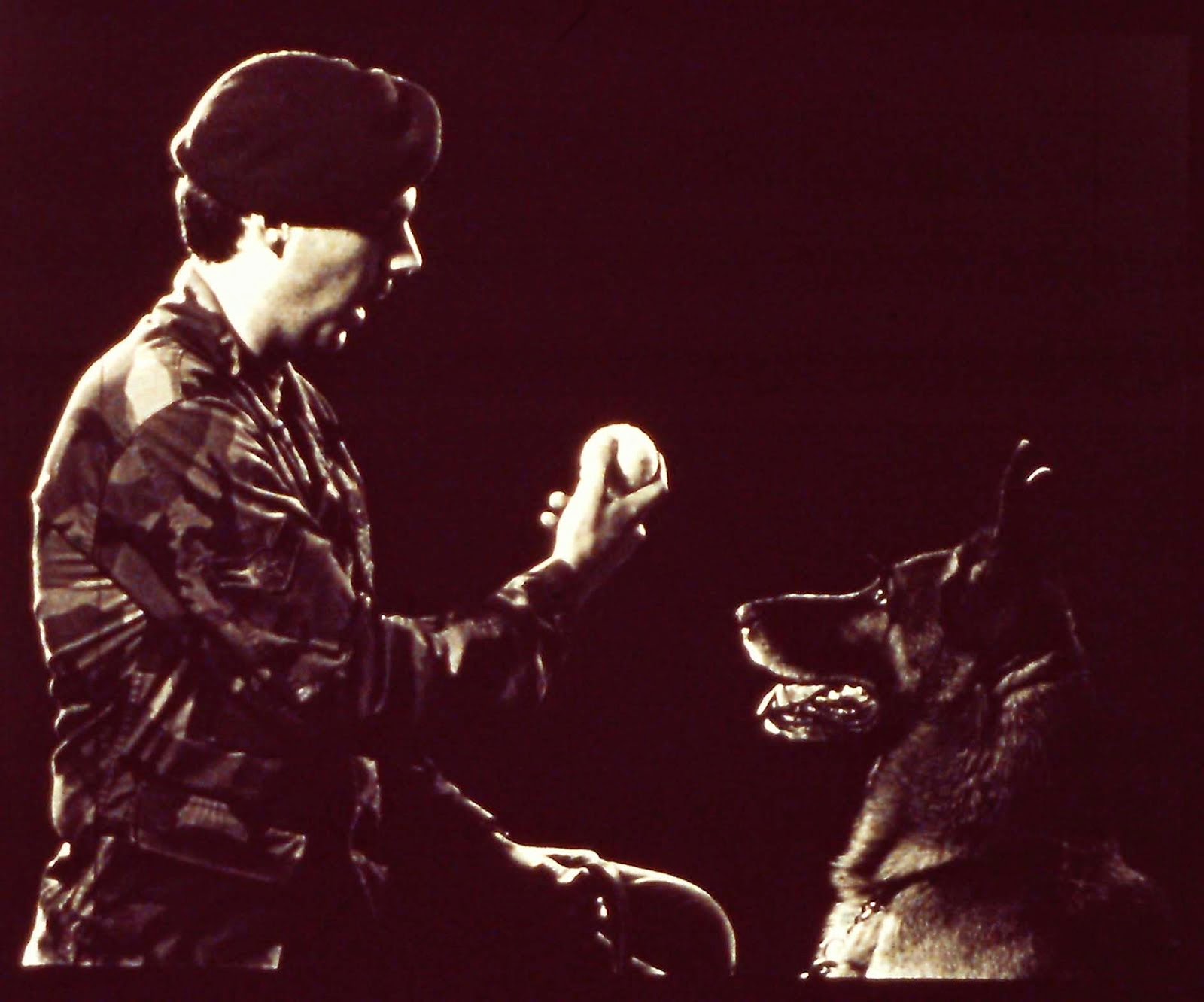 A1C Eric Larson & Military Working Dog, "Bo"