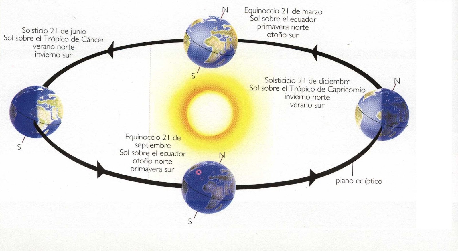 PRIMER CICLO El por qué de las estaciones y algunas curiosidades. CCSS
