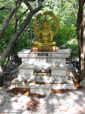 Buddha at Putta Chedi Laem Sor