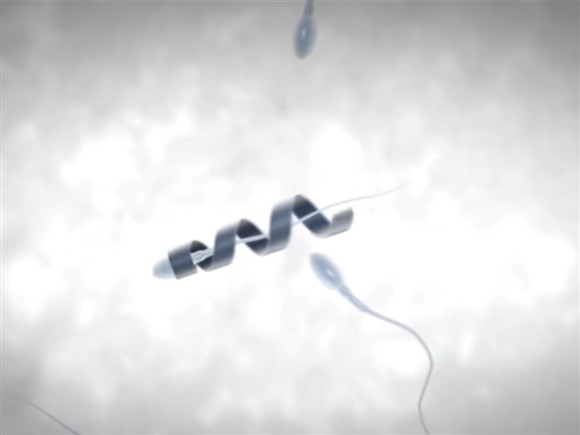 Nanorrobô leva o espermatozoide até o ovulo uma solução para infertilidade? 