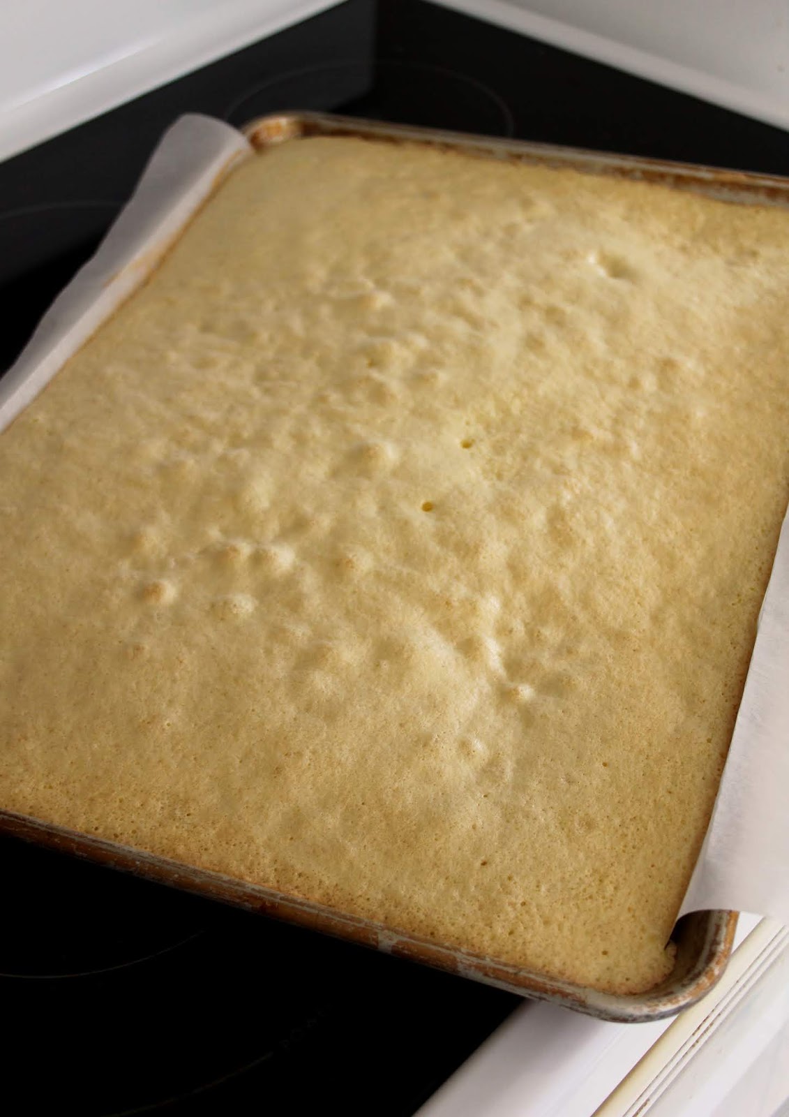 Jo and Sue Raspberry Coconut Jelly Roll