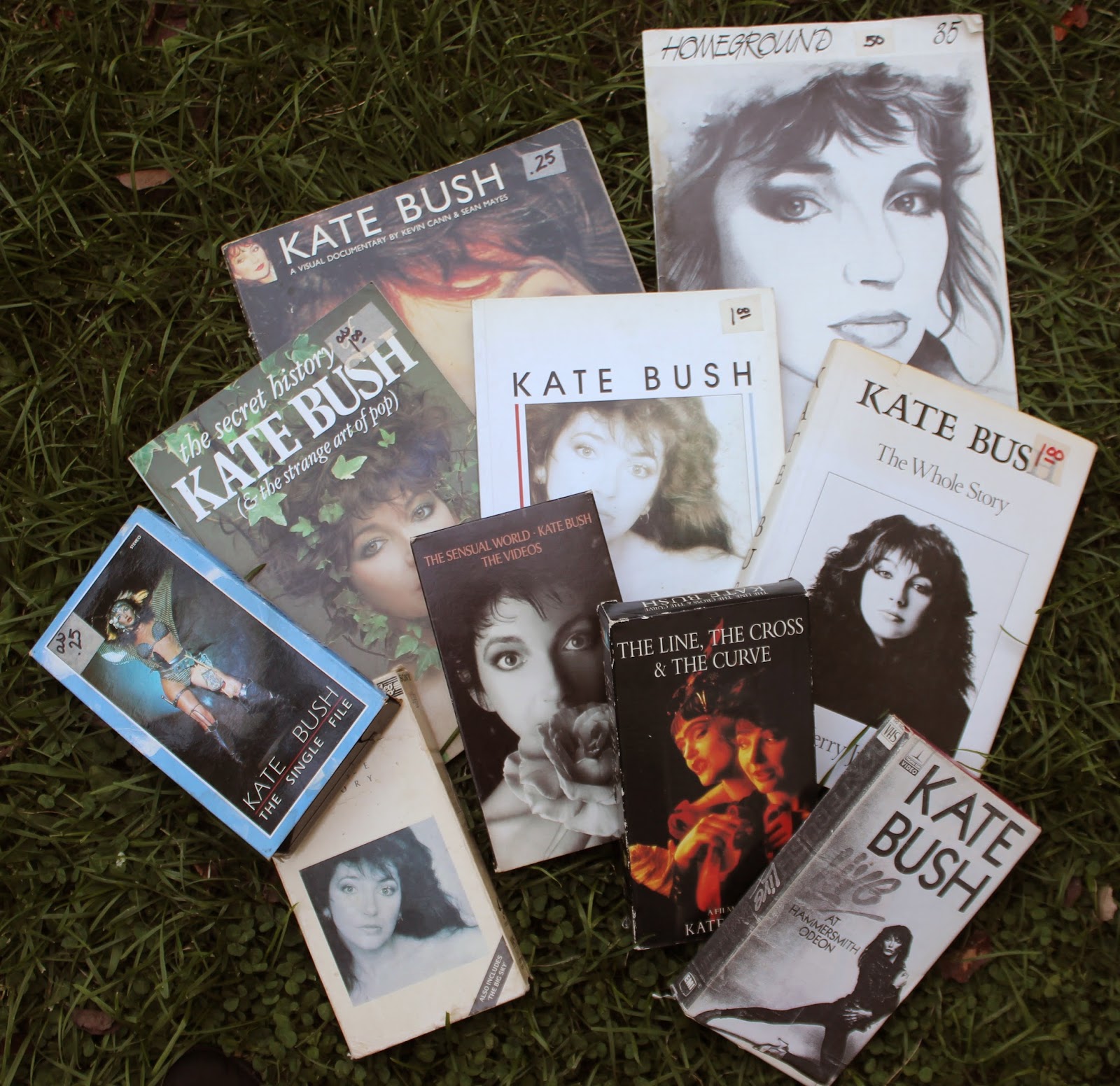 PLANET OF DOLLS: Kate Bush Bonanza: My Consolation Prize for Missing Kate At the Hammersmith Apollo This Month