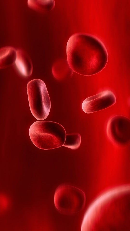   Red Blood Cells   Android Best Wallpaper