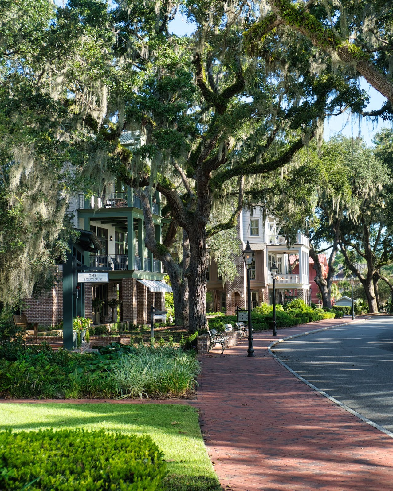 montage south carolina montage south carolina
