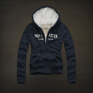 moletom hollister feminino