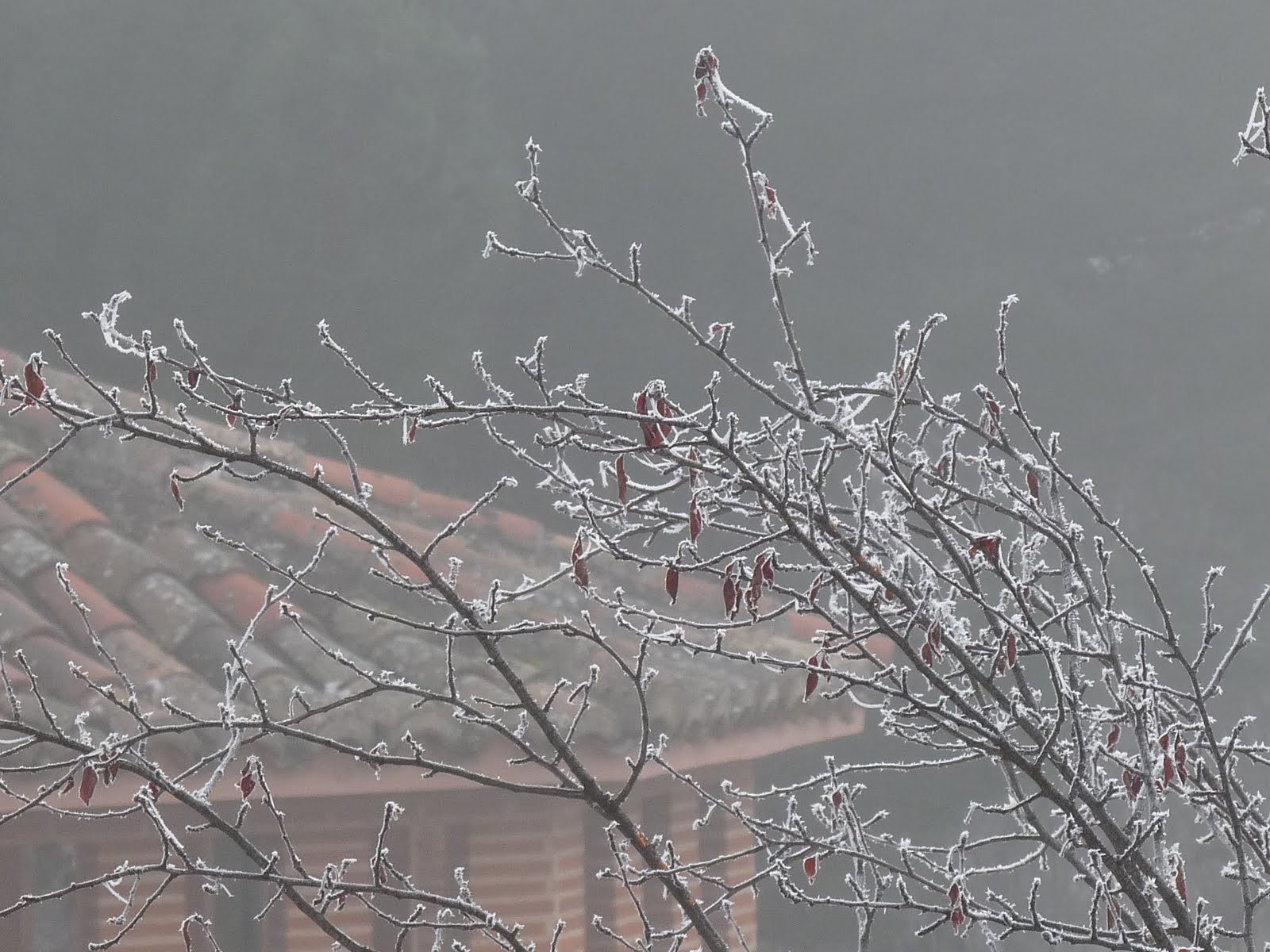 El blog de Alejandro Macías: Estampas navideñas