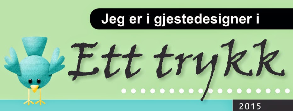 Gjestedesigner Ett Trykk 2015