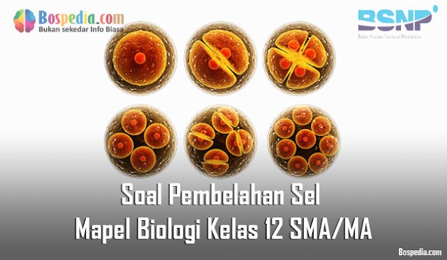 Soal Pembelahan Sel Mapel Biologi Kelas 12 SMA/MA