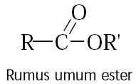 Pintar Pelajaran Pengertian Ester Sifat Kegunaan Isomer Dampak Bahaya Pembuatan Sintesis Kimia Cara Ampuh Memahami Matematika Dengan Mudah