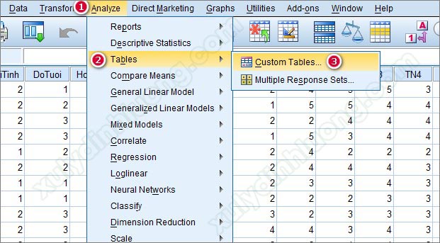 Chạy bảng kết hợp Custom Table trong SPSS