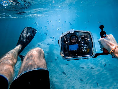 Residuos Altitud Vagabundo Fotografía Submarina ¿Cómo empezar a hacer fotos bajo el agua? | Blog de  Fotografía (Club f2.8 )