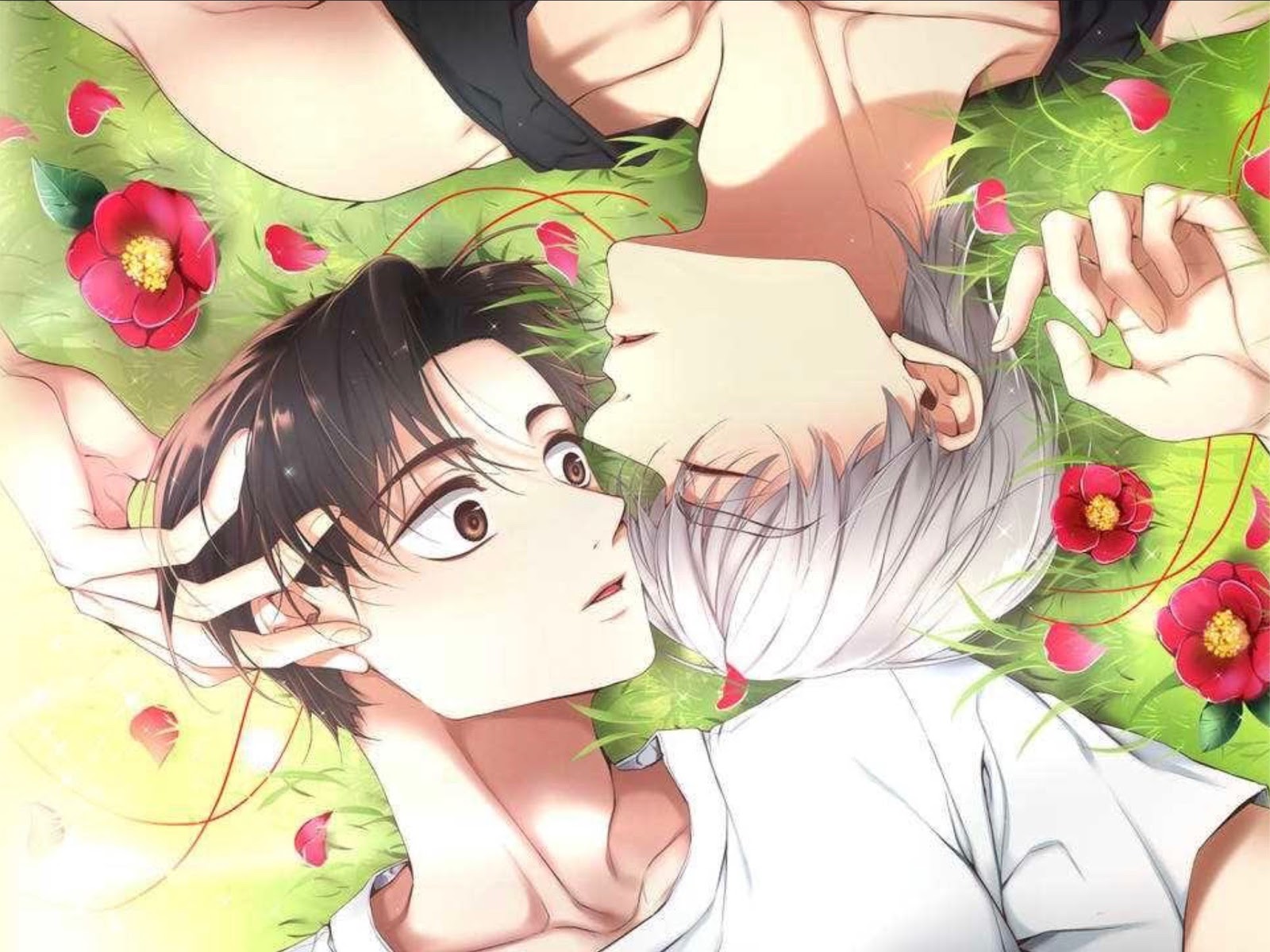 Manhwa ismertető A Guy Like You (BL, 18+) KÉrdekesség