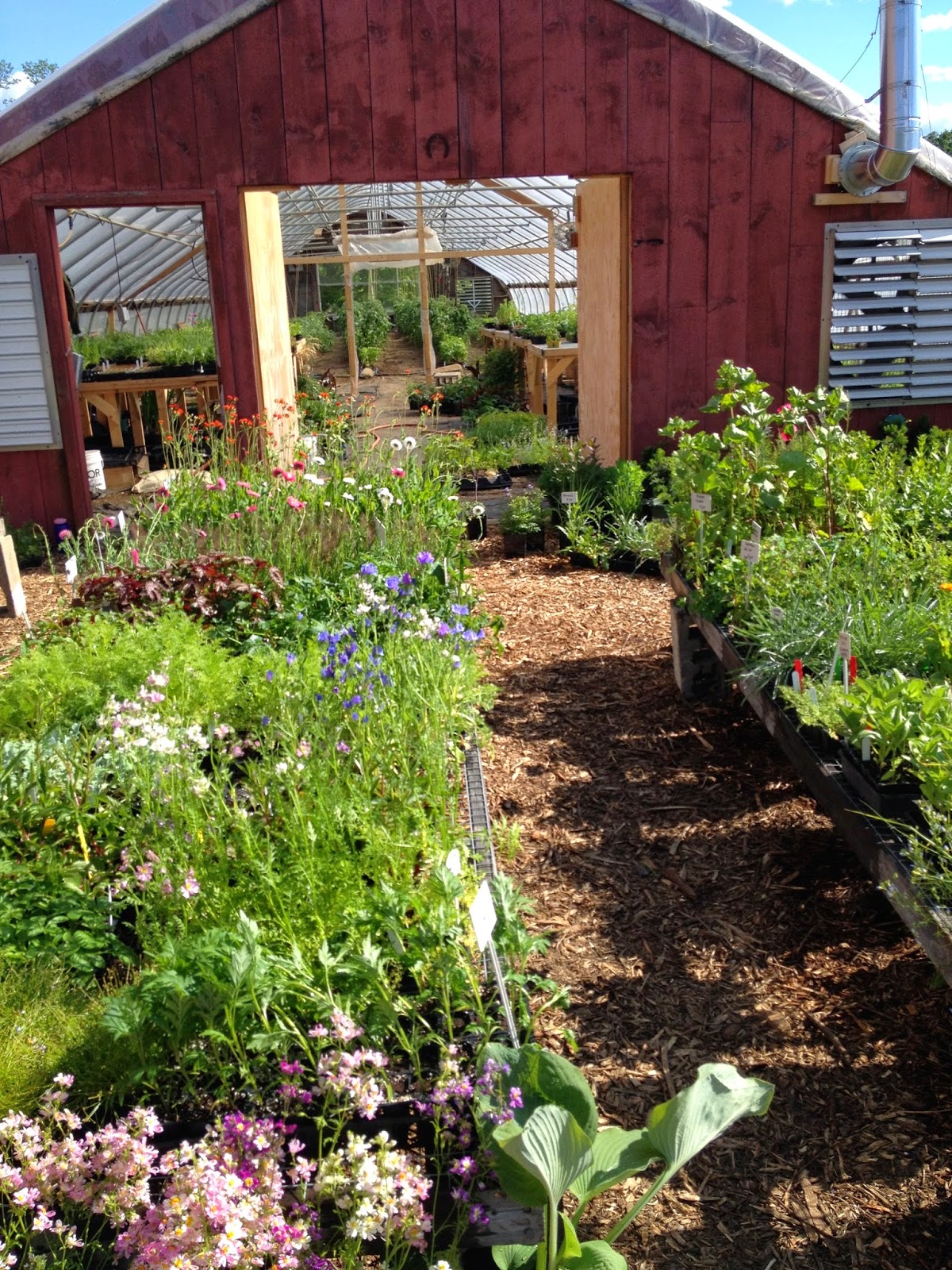 The Gardener's Eye Bunker Farm A New Source for Choice Plants