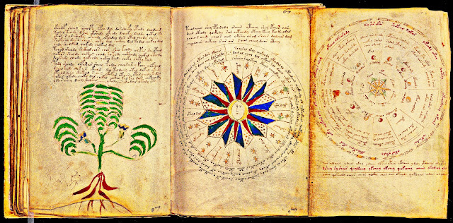 Voynich Manuscript earth code