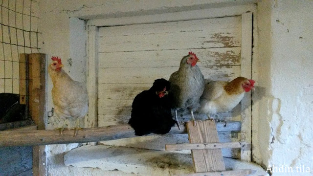 Takahuone valu porno putket