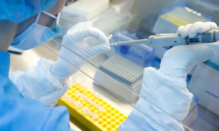 Em meio a casos de 'fungo negro', Anvisa alerta sobre coinfecção fúngica e de Covid