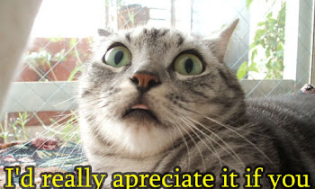 Funny Pictures Funny Facebook Photos Funny Jokes: Funny Cats vs Dogs