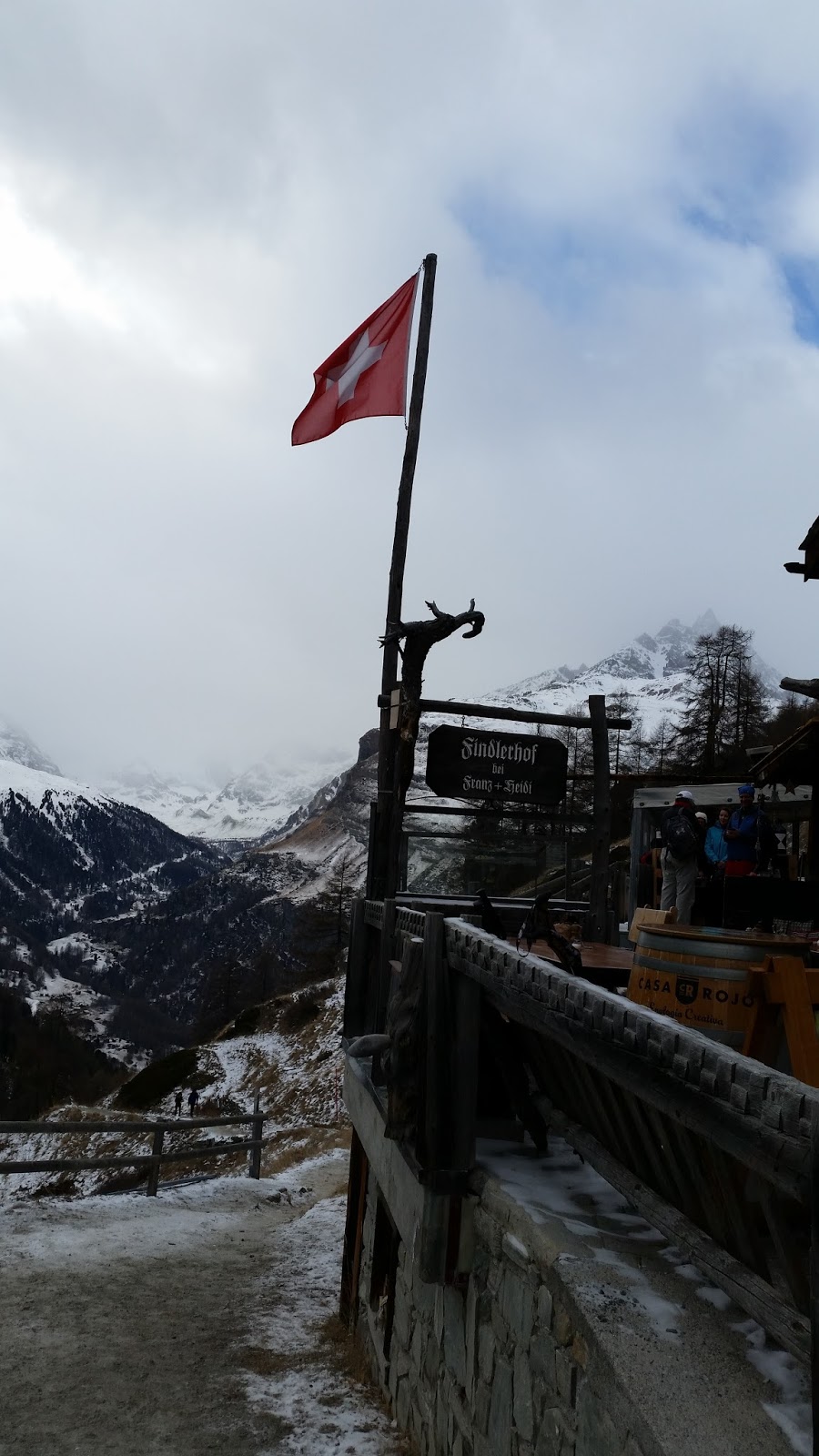 Mundimascota Schweiz Alles Uber Den Bichon Frise