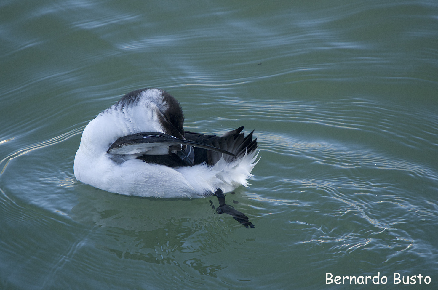RIA DE LA VILLA: Momentos Alca