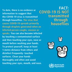 Coronavirus COVID-19 Guidelines simulation
