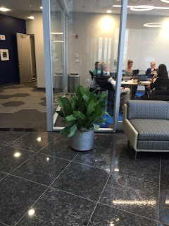 office plant leasing and discounting of plant care service;