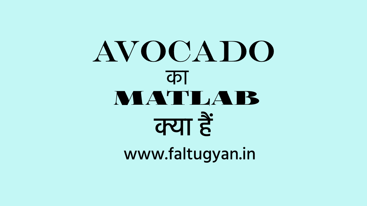 Avocado Ka Meaning (मतलब) Kya Hota Hai