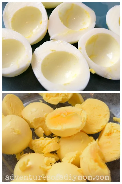 separate egg white from yolk
