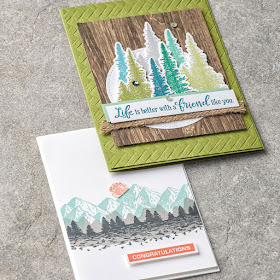 7 Stampin' Up! Majestic Mountain Air Projects ~ January-June 2020 Mini Catalog