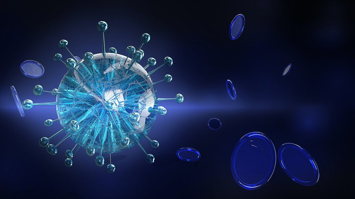 coronavirus2