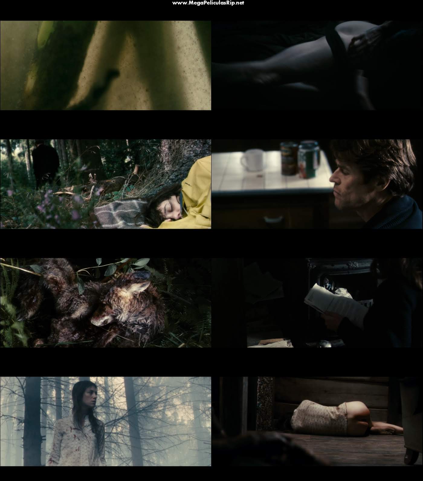 Anticristo 1080p Latino