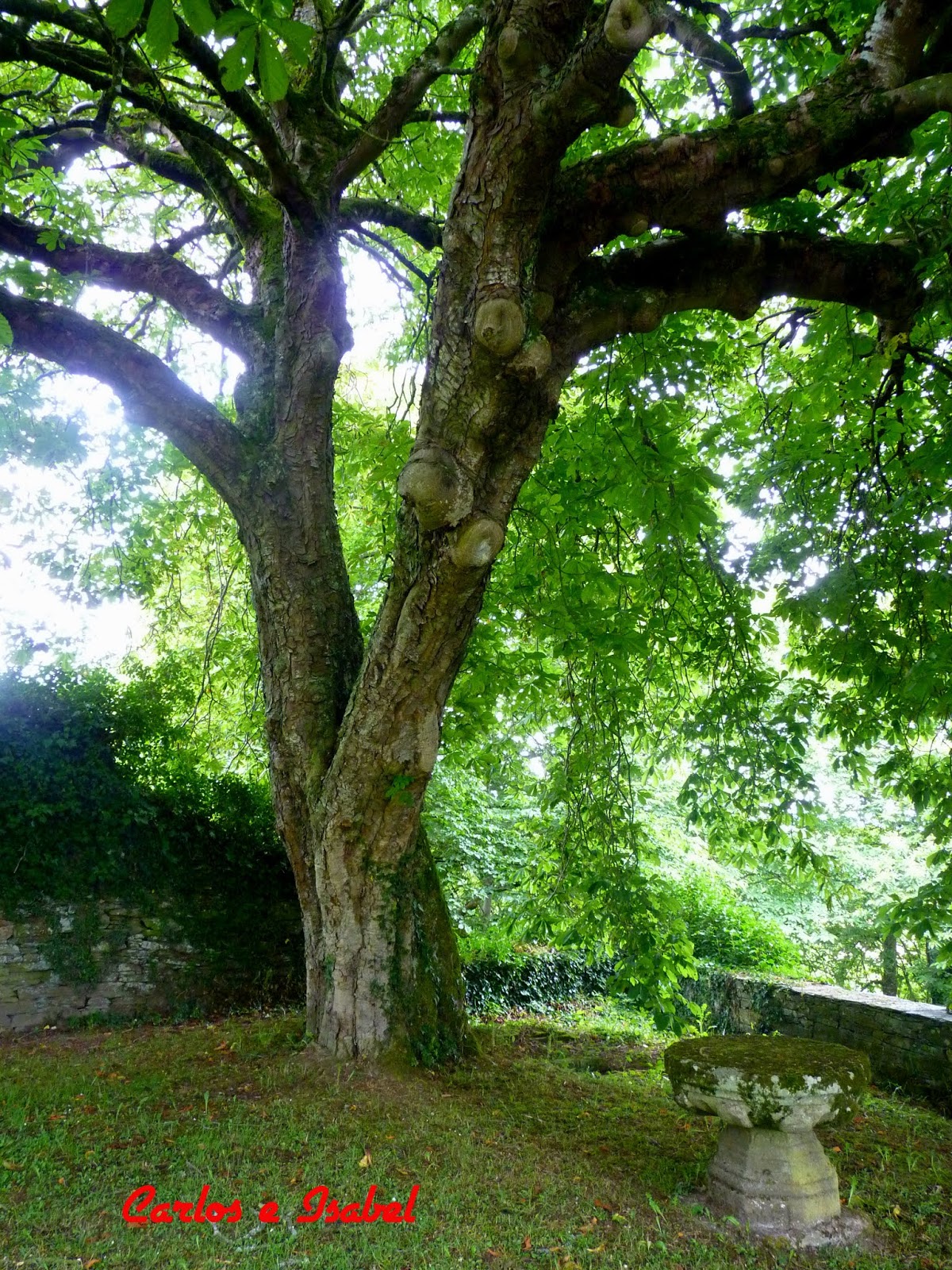 Rincones de mi Galicia Iglesia de Cirio, Pol (Lugo)