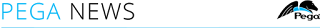 Pegasystems Recognized as a Leader in the Gartner Magic Quadrant for Intelligent Business Process Management Suites for Eleventh Straight Year Pegasystems Recognized as a Leader in the Gartner Magic Quadrant for Intelligent Business Process Management Suites for Eleventh Straight Year