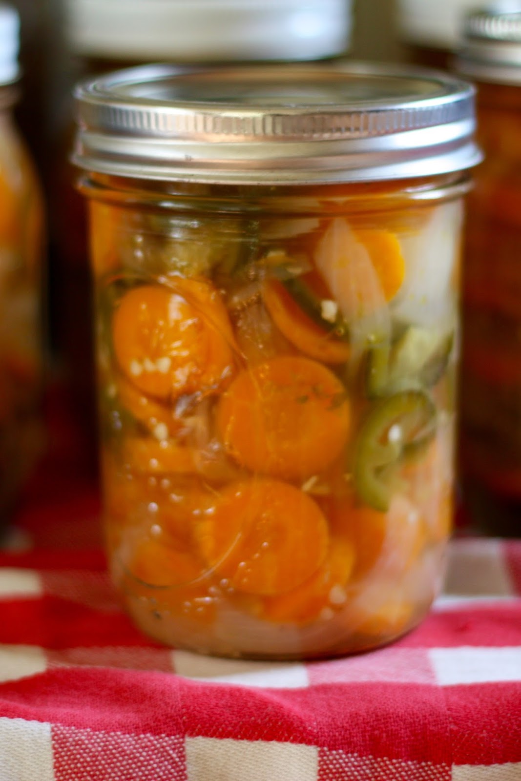 ben and birdy Escabeche (Pickled Carrots, Onions, and Jalapenos)