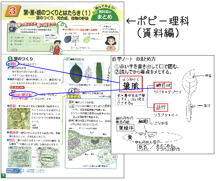 いえがくサポート 理科のいえサポ勉強方法 自学ノートでも可