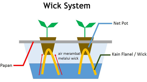 Mengenal Sistem Tanam Hidroponik (Wick, Nft Dan Dft) Khusus Pemula Mengenal Sistem Tanam Hidroponik (Wick, Nft Dan Dft) Khusus Pemula