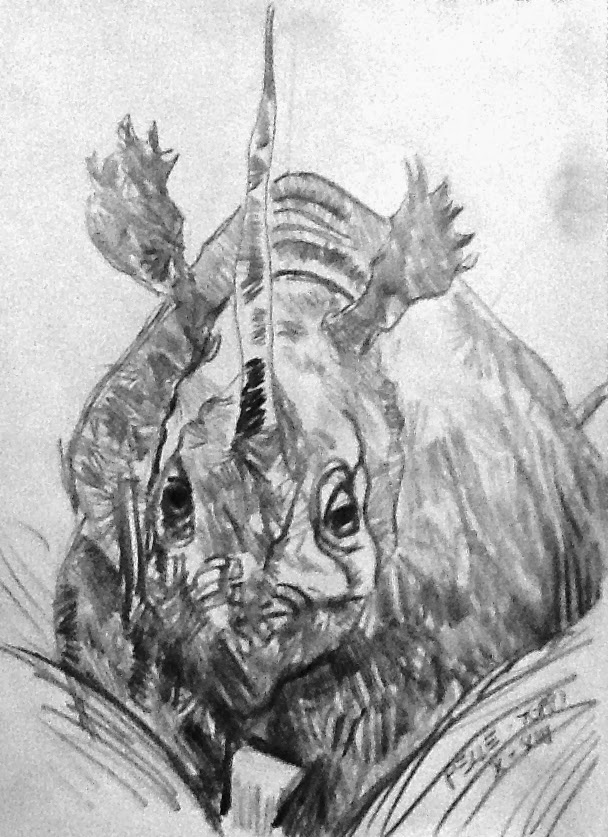 Rhino Pelle-Toppi (chiamami Gennaro)