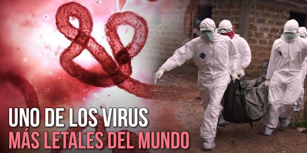 ADVIERTE LA OMS: Brote de ebola en congo deja 209 fallecidos ADVIERTE LA OMS: Brote de ebola en congo deja 209 fallecidos