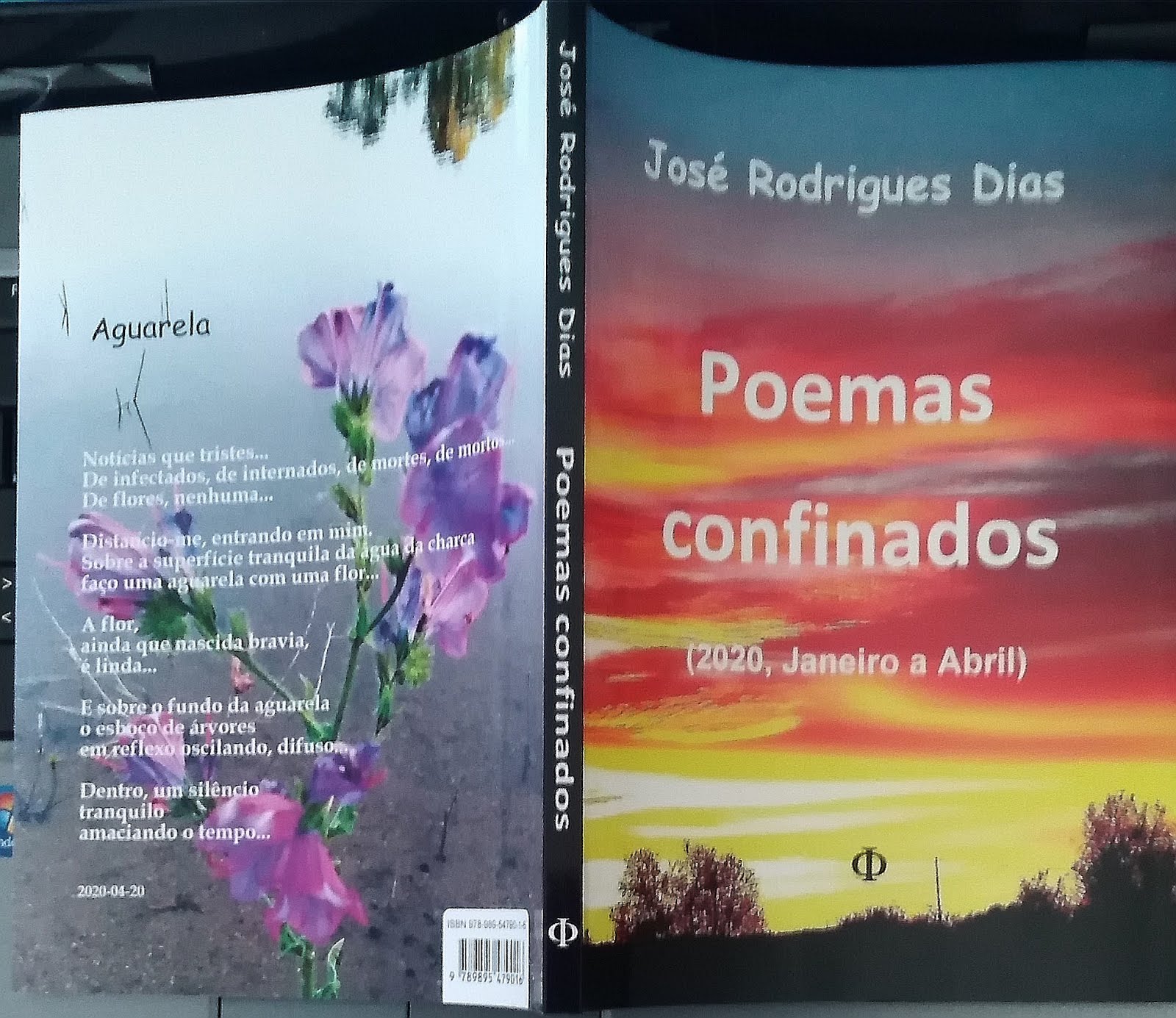 Décimo sétimo livro de Poesia