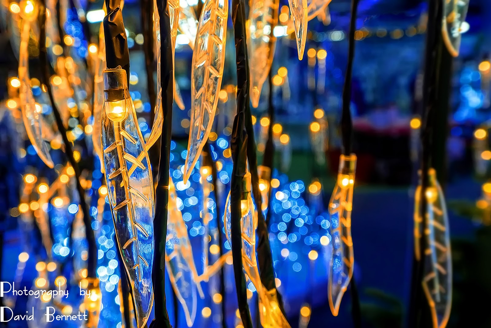 Lincolnshire Cam Louth Garden Centre at Christmas. (Part 2 of 2).