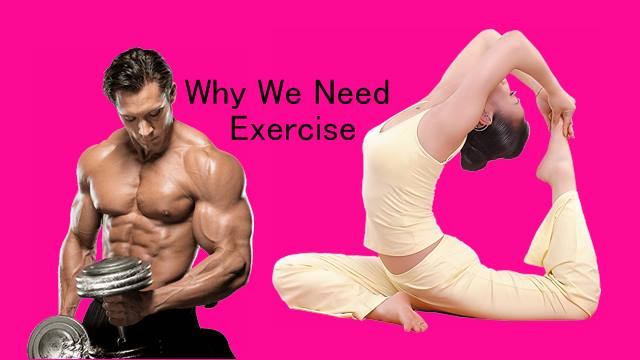 Why Exercise Is Important