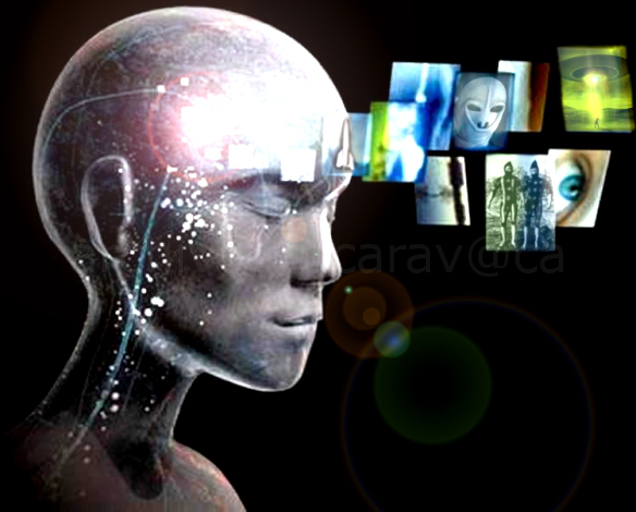 LA TEORIA DE LA DISTORSION LA DISTORSION Y LAS PROYECCIONES TANGIBLES