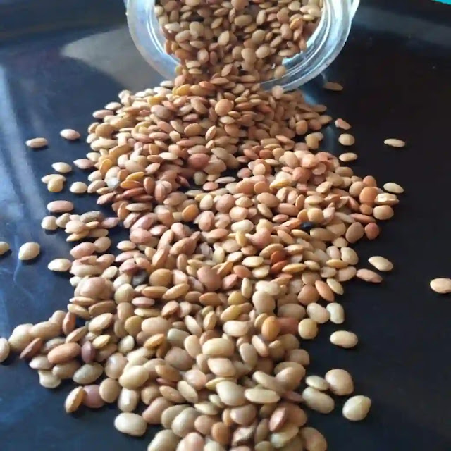 Hurali-Horse gram-Kulith Hurali-Horse gram-Kulith