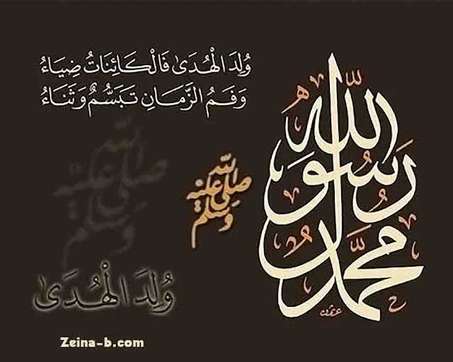 صور عن مولد النبوى